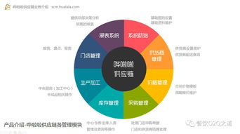 智能餐飲軟件技術(shù)領(lǐng)航者 楊柳春與嘩啦啦的卓越競爭力解析